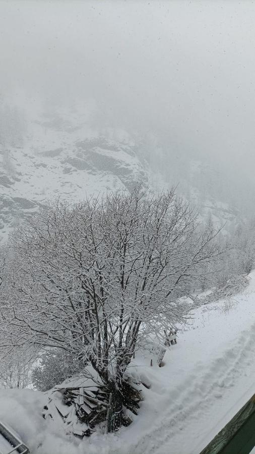 Abriès Les Hauts Du Roux מראה חיצוני תמונה